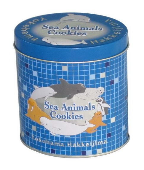 tea tin box