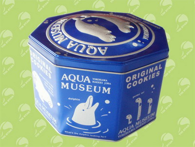 packaging tin box